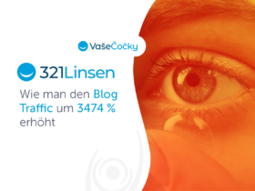 321Linsen.de/VašeČočky.cz: Wie man den Blog Traffic um 3474 % erhöht